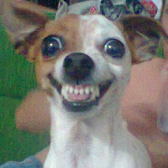 Membro